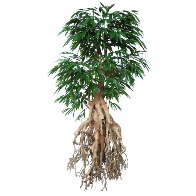 Planta semi-artificiala Ila, Longifolia Root Giant Green - 250 cm